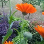 Suite With Terrace And Loft With Garden In Milan Naviglio Pavese
