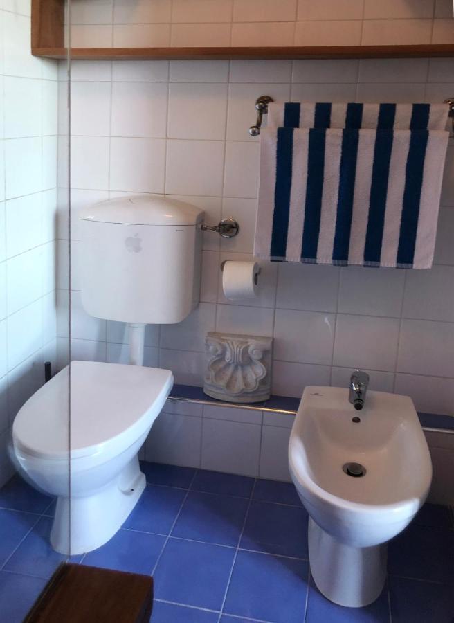 With Terrace And Loft With Garden In Naviglio Pavese *
