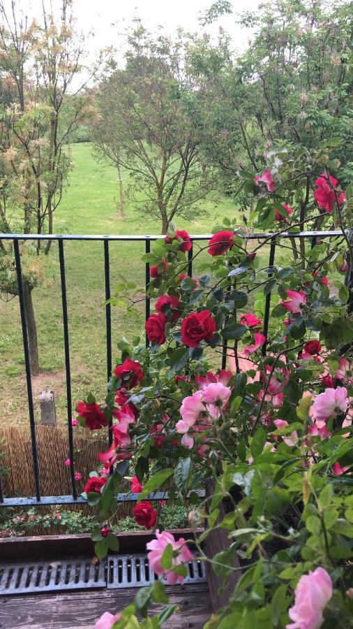 With Terrace And Loft With Garden In Naviglio Pavese Gasthof