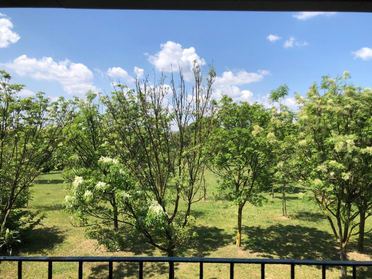 With Terrace And Loft With Garden In Naviglio Pavese