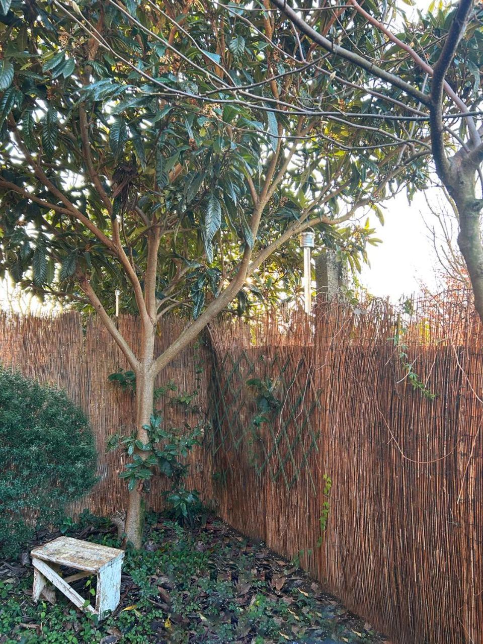 Gasthof With Terrace And Loft With Garden In Naviglio Pavese Mailand